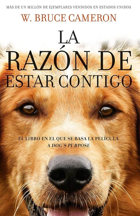 Las mejores novelas sobre perros
