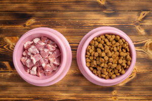 ¿Se puede combinar la dieta BARF con el pienso? Toda la información aquí