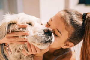 beneficios de tener un animal de compañía en casa