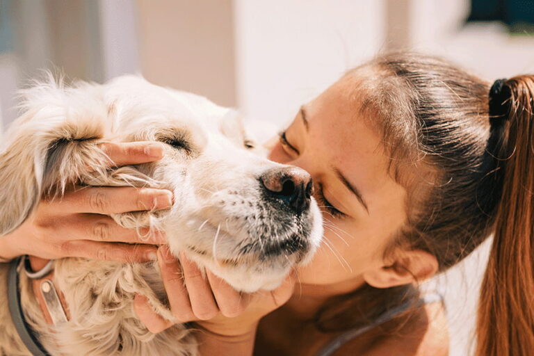 beneficios de tener un animal de compañía en casa