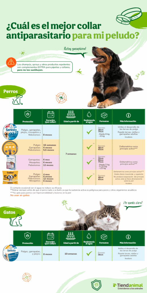 Infografía mejores collares antiparasitarios