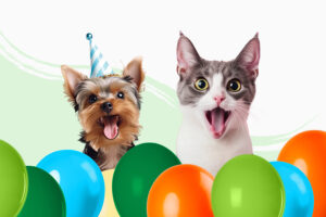 Apertura de Tiendanimal en Sant Celoni