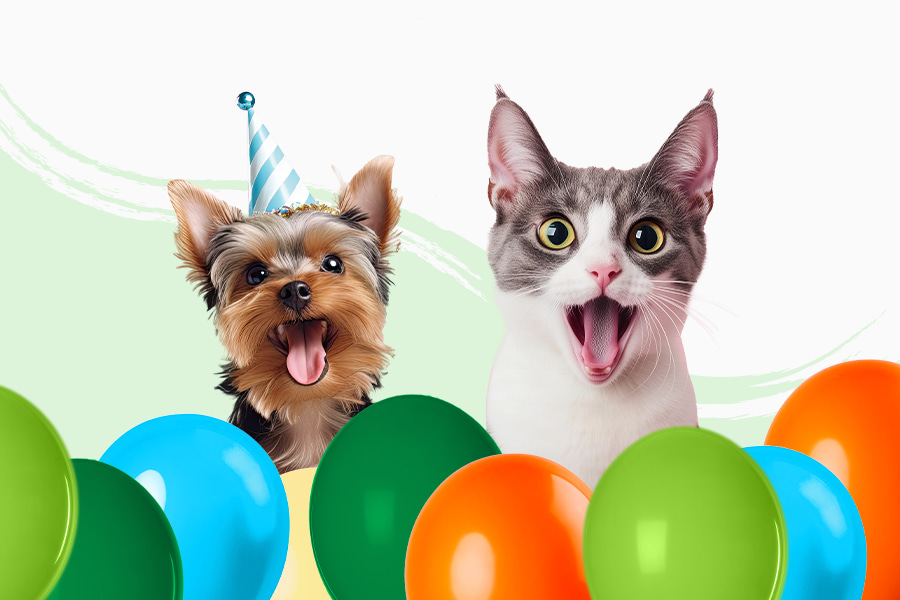 Apertura de Tiendanimal en Sant Celoni
