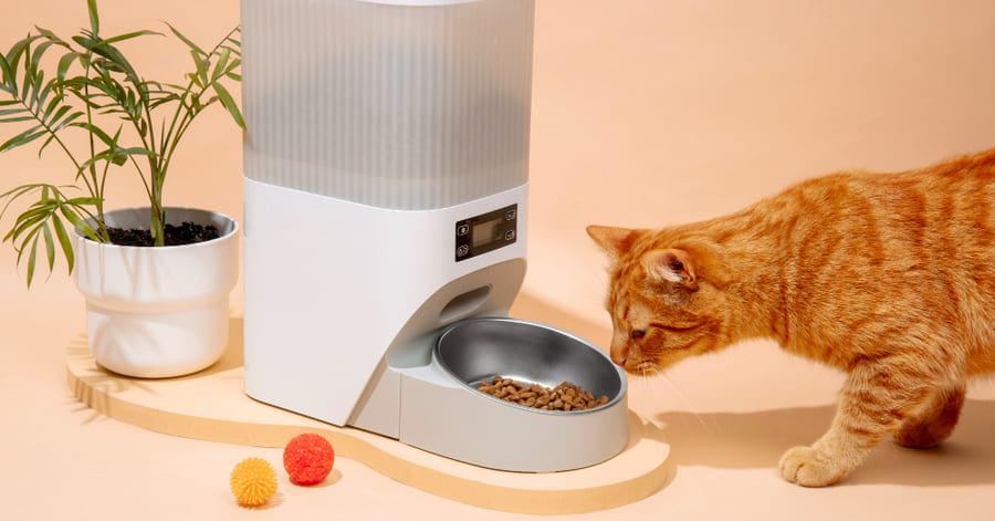 Mejores dispensadores de comida para gatos