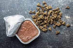 Alimentación mixta en gatos: cómo combinar pienso y comida húmeda