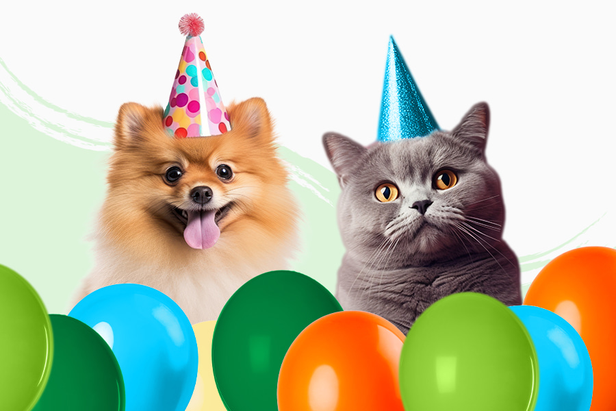Nueva apertura de Tiendanimal en Águilas