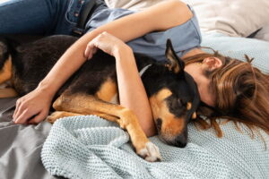 ¿Debo dormir con el perro en mi cama?