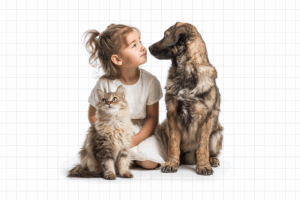 Talleres en colegios de toda España para concienciar sobre el bienestar animal y tenencia responsable