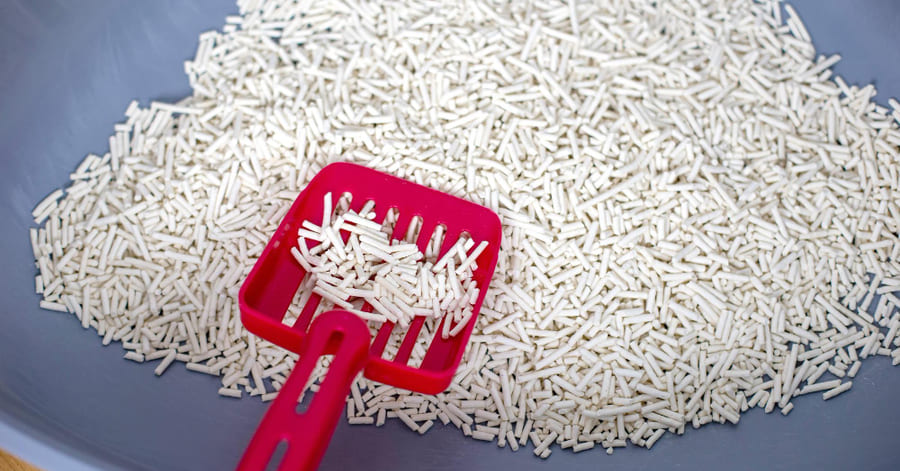 ¿Es buena la arena de tofu para gatos?