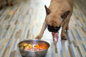 Guía sobre la comida natural cocinada para perros, qué es, beneficios y consejos