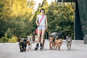 Cómo ser voluntario en un refugio local de animales, requisitos y pasos
