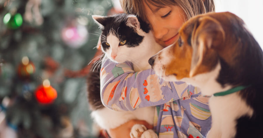 Consejos para una adopción responsable de perros y gatos en Navidad