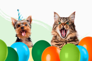 Apertura de Tiendanimal en Cáceres