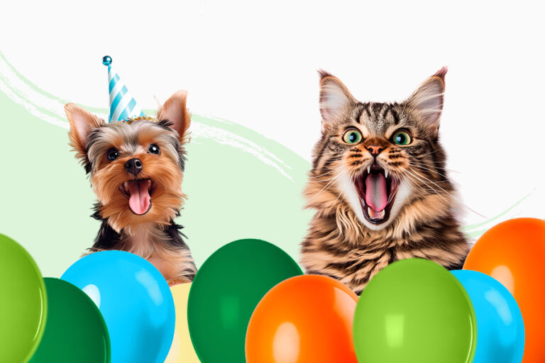 Apertura de Tiendanimal en Cáceres