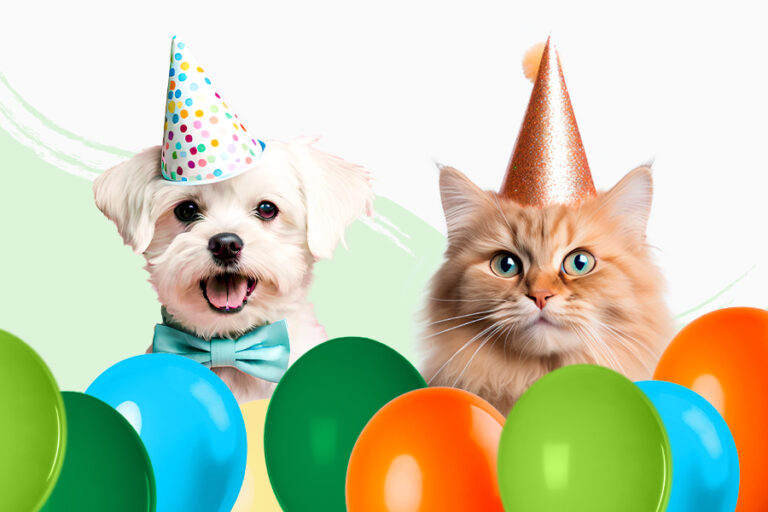 Nueva inauguración de Tiendanimal en Alhaurín de la Torre en Málaga