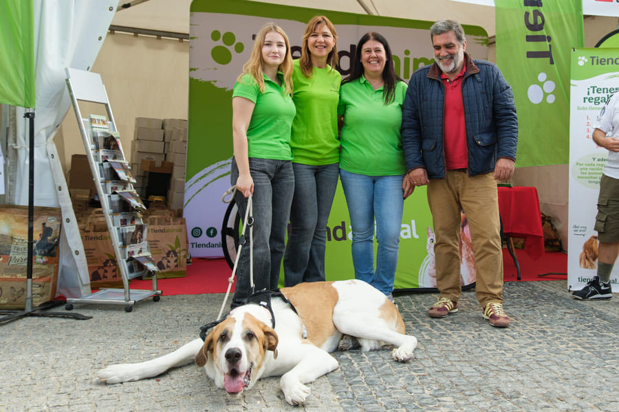 Resumen del año con acciones en Tiendanimal como el Salón de la Adopción XX