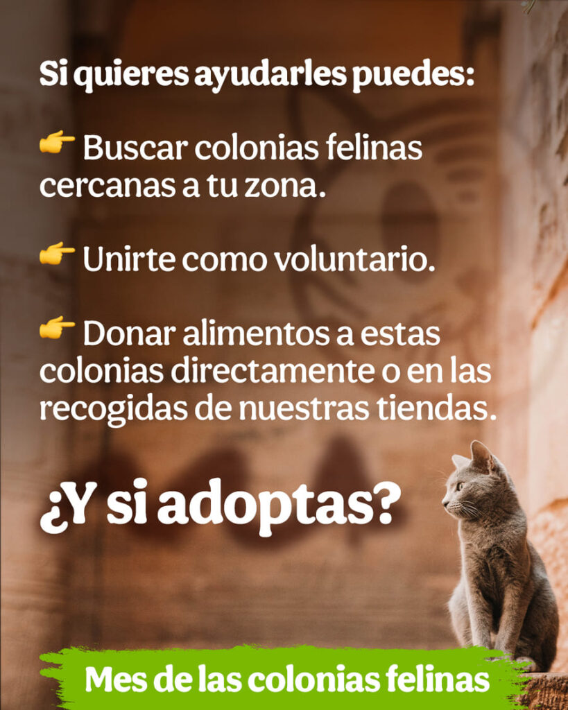 Campañas ESG de Tiendanimal en 2025