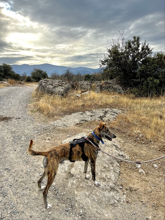 Descubre la historia de adopción de Tay por Paula y su pareja