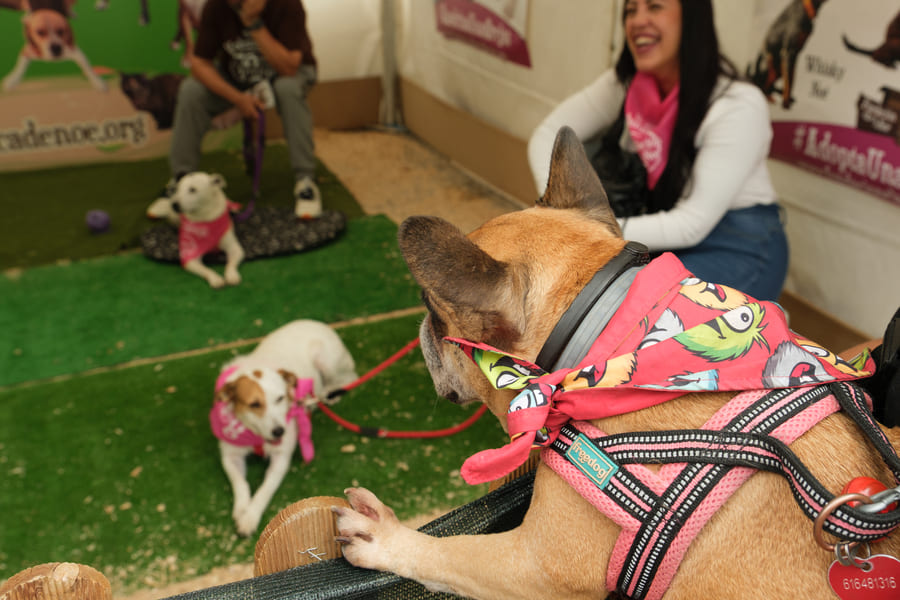 Resumen del año 2025 en TA