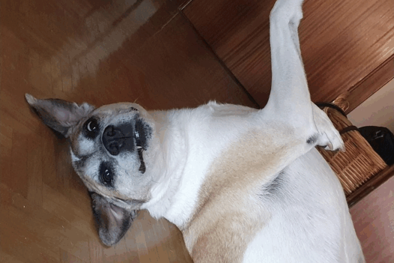 Historias que dejan huella: Noah y Natalia