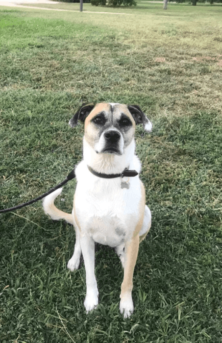 Historia de adopción: Noah y Natalia