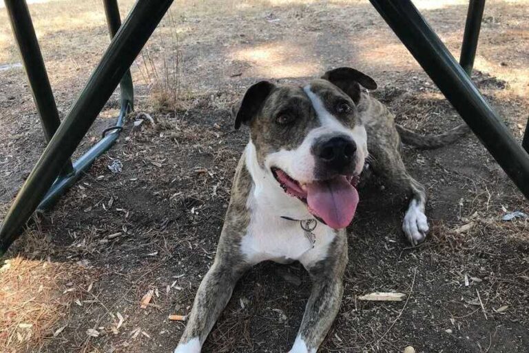 Historias que dejan huella: Hera y Andrés