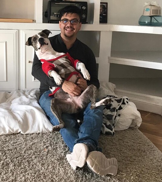 Adopción de Hera por Andrés