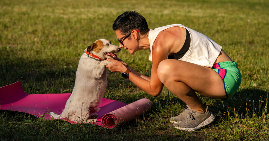 Mejores deportes con perros