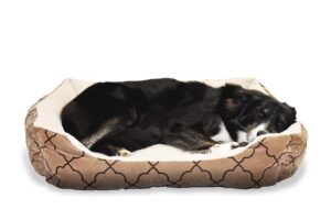 dog, pet, nature, bed, animal, border collie, sleep, cute, comfortable, dog bed