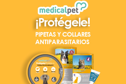 Banner accesorios perro