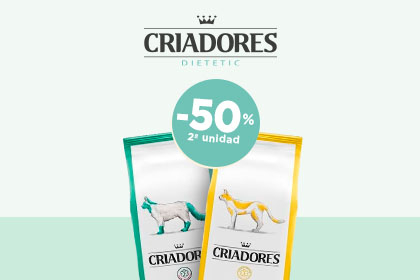 Banner gato