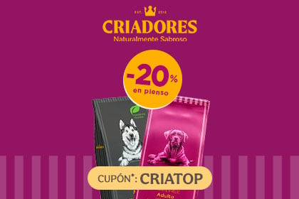 Banner Pienso Perro