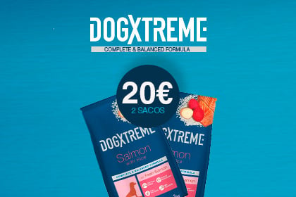 Banner snacks perro