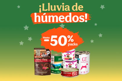 Banner snacks gato