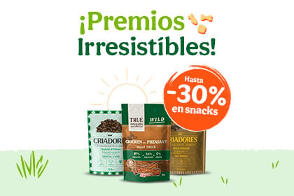 Banner comida h&uacute;meda perro