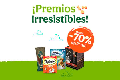 Banner accesorios perro