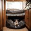 Cama suave para mascotas color Gris Oscuro, , large indicador imagen numero 3