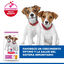 6 kg Hill's Science Plan Puppy Small y Mini Pollo Pienso para cachorros, , large indicador imagen numero 2