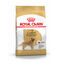 12 kg Royal Canin Adult Golden Retriever pienso para perros, , large indicador imagen numero 1