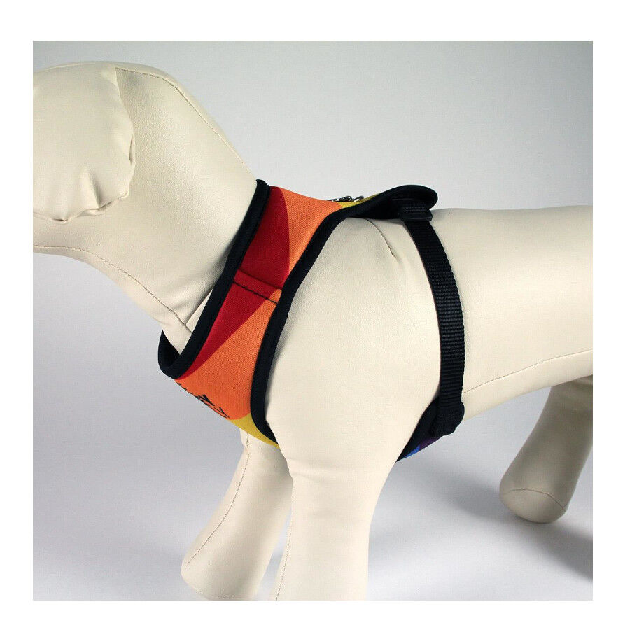 Disney Pride Arn&eacute;s multicolor para perros, , large Imagen numero 6