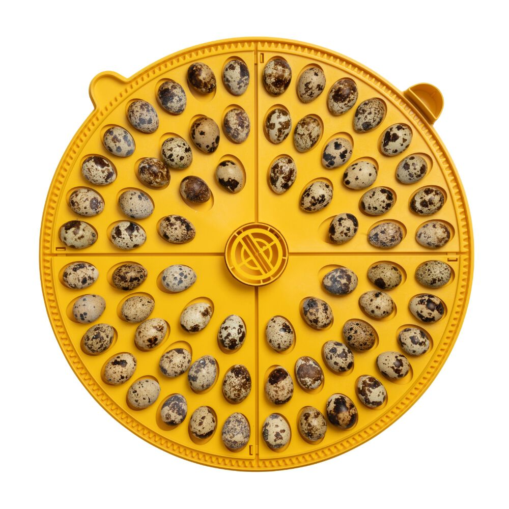 Incubadora BRINSEA Maxi 48 EX - Incubadora para 48 Huevos de gallina - Apta para Diferentes Especies o tama&ntilde;os de Huevos - Fabricaci&oacute;n Europea, , large Imagen numero 5