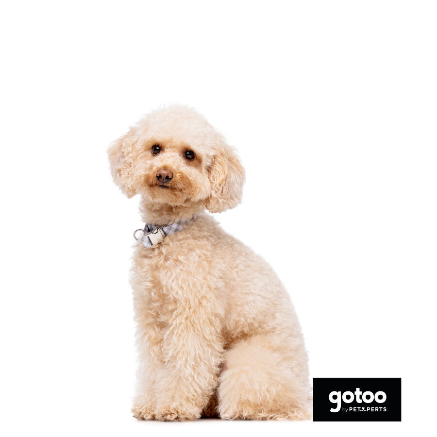 Gotoo Collar estampado cuadro vichy gris para perros, , large Imagen numero 6