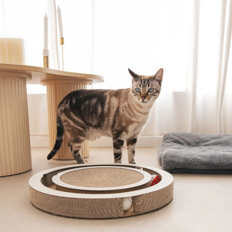 Althea Living - Juguete Interactivo Rascador para Gatos con cart&oacute;n corrugado y pelotas giratorias, , large Imagen numero 2