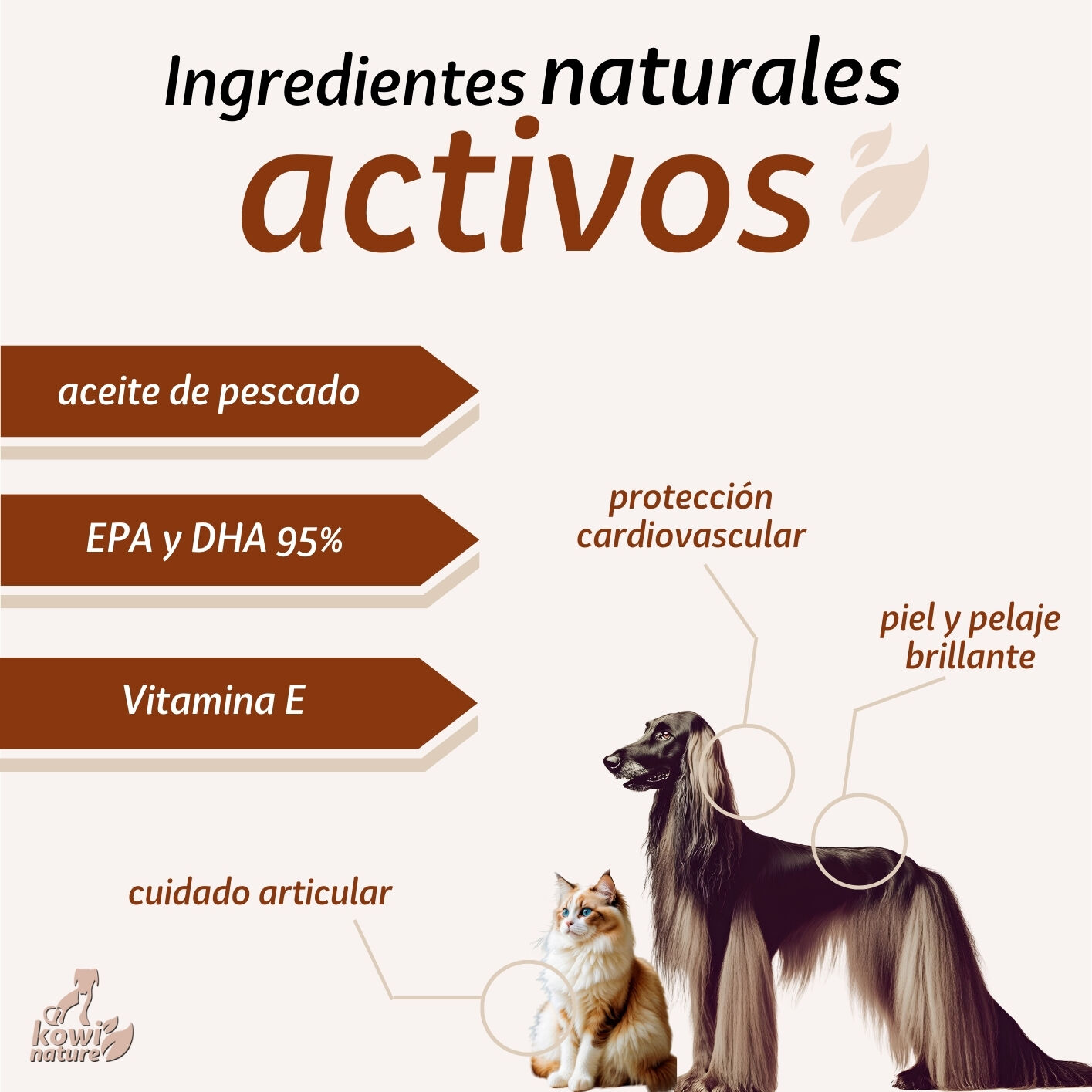 Kowi Omega 60 Perlas, , large Imagen numero 8