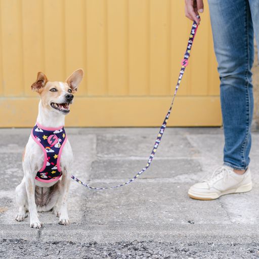 Correa de poli&eacute;ster Unicorn para perros color Varios, , large Imagen numero 4