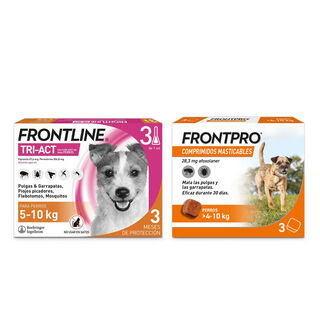 Pack Frontline Tri-Act pipetas + Frontpro comprimidos masticables para perros pequeños