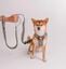 Correa CountryFox&trade; Pro &bull; Gris, , large indicador imagen numero 4