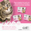Mousse de Pollo para Gatito Junior Cuisine Kitten, 90 g, , large indicador imagen numero 3
