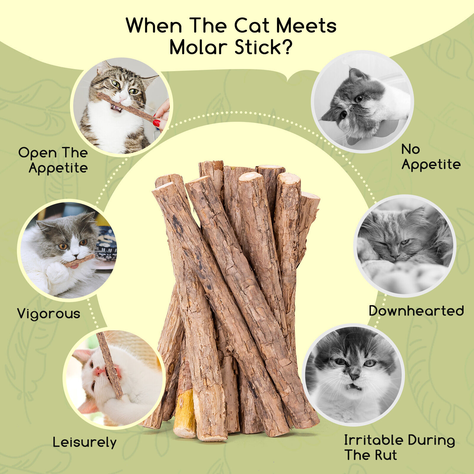 Nobleza - Palitos de Catnip para Gatos, Palitos de Hierba Gatera, Masticar Palos Gato, Juguetes para Gatos Morder, Hierba Gatera Juguete, para Cuidado Dental en Gatos, Contra la Halitosis, 30Pcs, , large Imagen numero 4