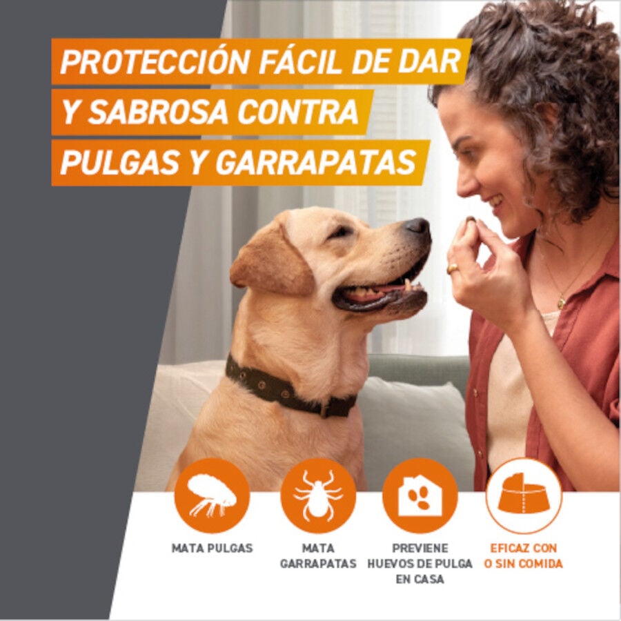 Frontpro Comprimidos Masticables Antiparasitario para perros, , large Imagen numero 2